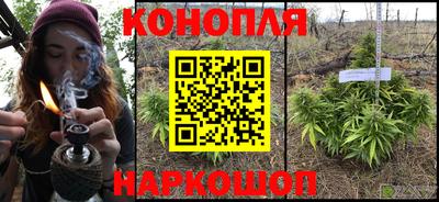 прущие грибы Будённовск