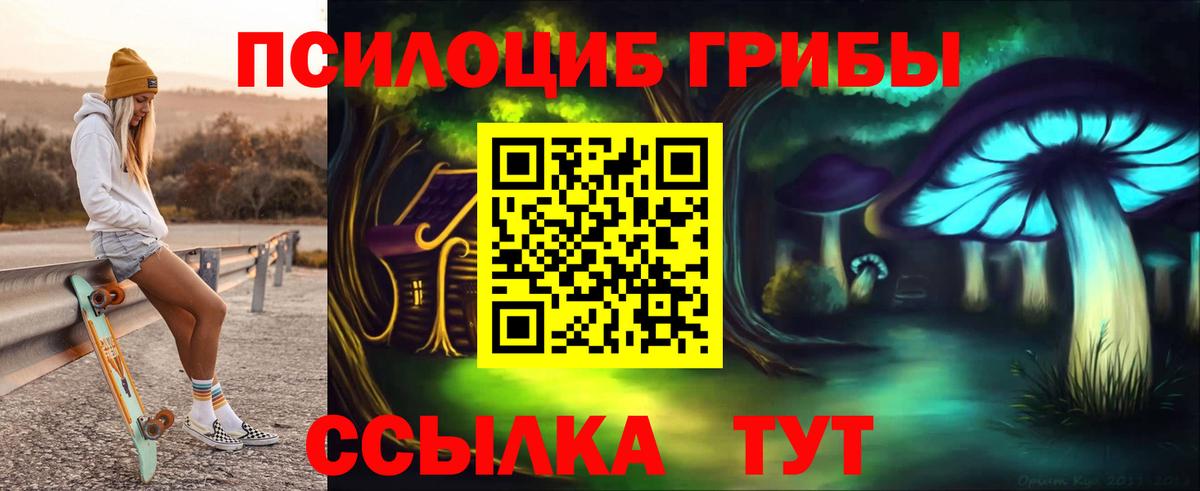 Псилоцибиновые грибы прущие грибы Королёв