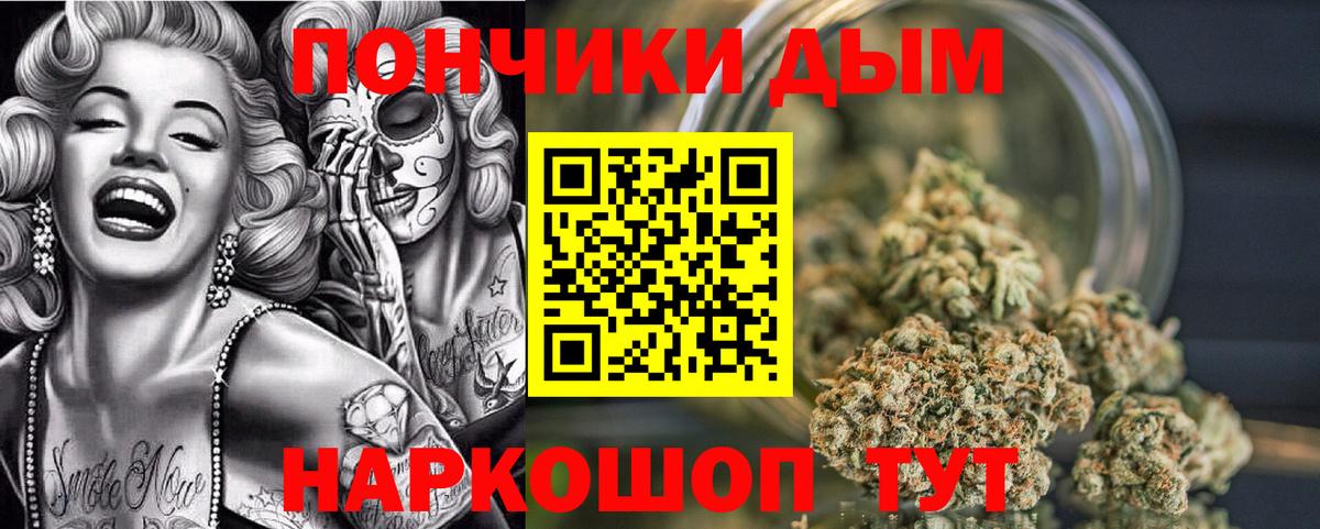 Бошки Шишки планчик  Бошки Шишки семена  Вход с VPN  Королёв 